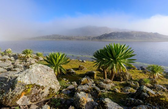 Bale-Mountians-tour-9-Days